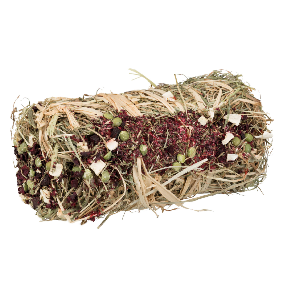 Trixie hooibaal met rode biet en pastinaak 10x18cm 200 gram