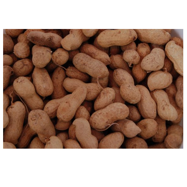 Pinda’s in dop 10kg