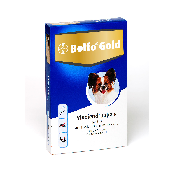 Bolfo gold hond 40 2 pipetten