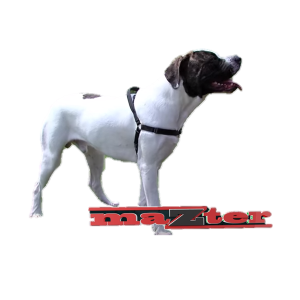 Zterk mazter anti-trektuig bull S