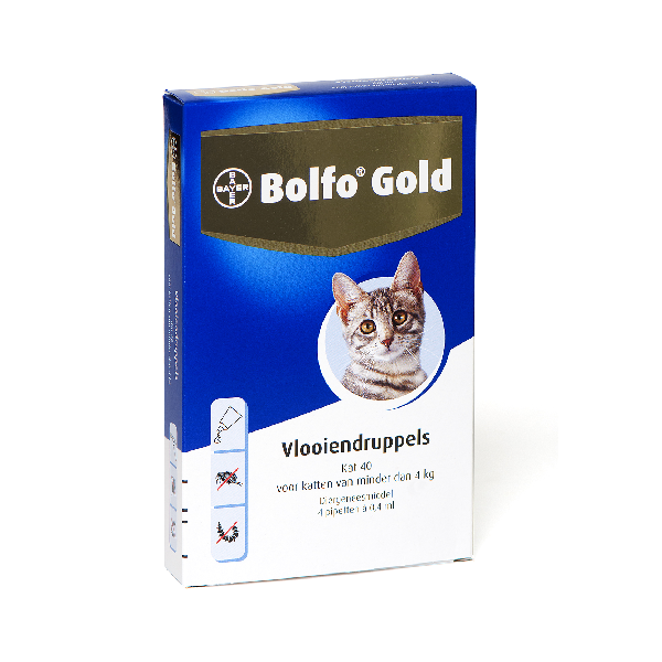 Bolfo gold kat 40 4 pipetten