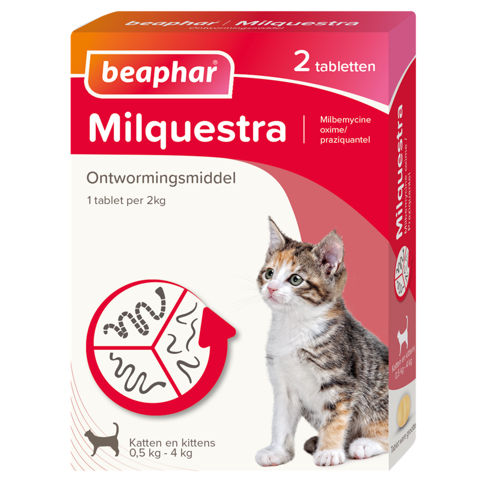 Beaphar milquestra kat klein/kitten 0,5-4kg 2 tabletten