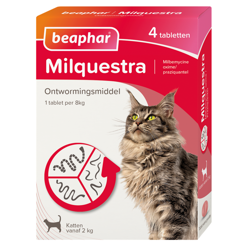 Beaphar milquestra kat 2-12kg 4 tabletten