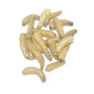 LFT Like Life – Maden 30ml.