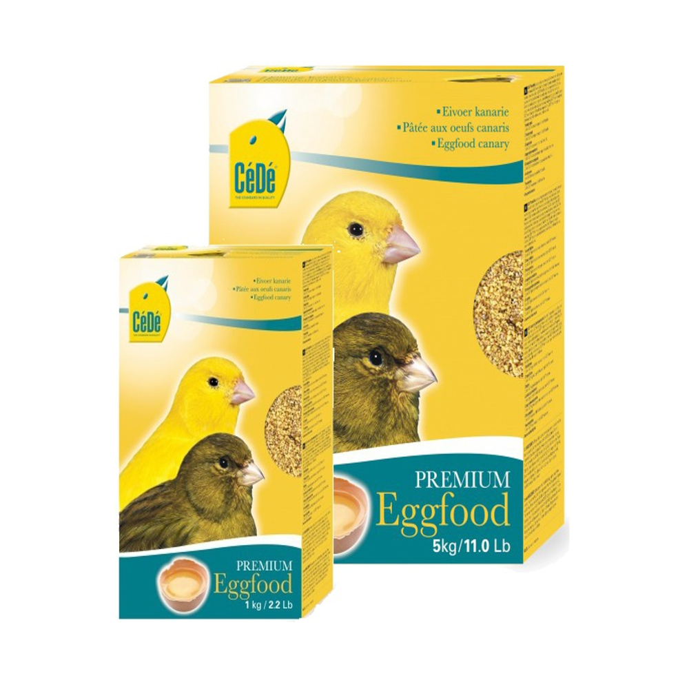 CÉDÉ EIVOER KANARIE