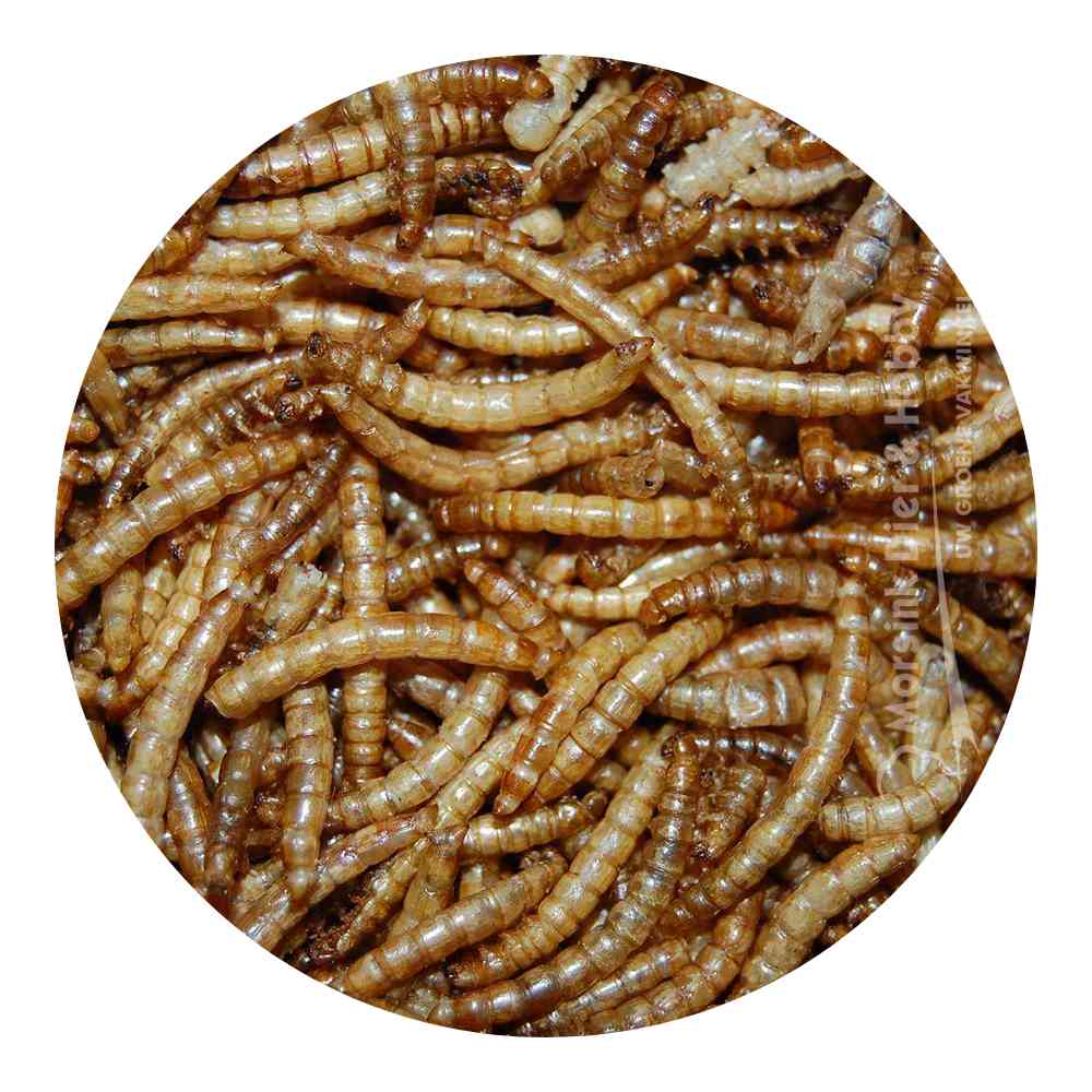 GEDROOGDE MEELWORMEN 1L