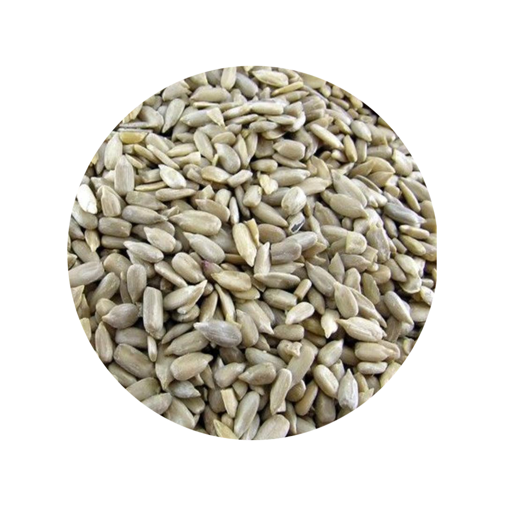 GEPELDE ZONNEPITTEN 2,5KG