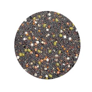 GEKLEURD KIEMZAAD (FIJN) 1KG